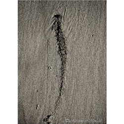 dailyPhoto10